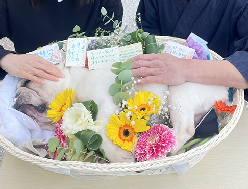 メッセージカード